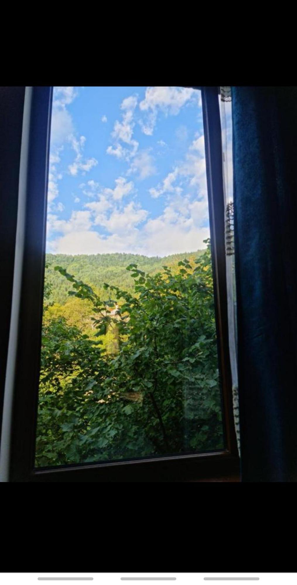 Strawberry Hotel Borjomi Ngoại thất bức ảnh